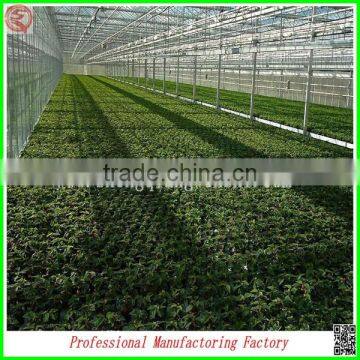 China Cheapest Hot-dip Galvanized Steel Structure Greenhouses With Hydroponic Grow Systems photo-3
