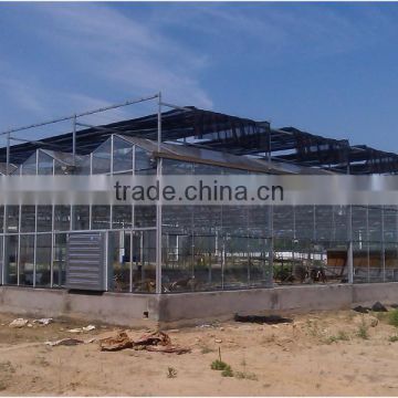 Commercial/agricultural large span glass green house for strawberry/tomatoes