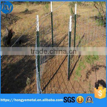 Cheap Galvanized Used Steel Fence T Post For Sale(Factory) photo-2