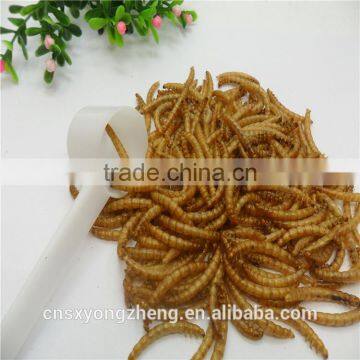Dried Yellow Mealworm,Birds Food & Aquarium Fish Food