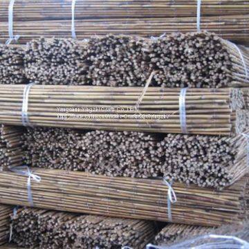 White Fern Fence With Galvanized Wire photo-4