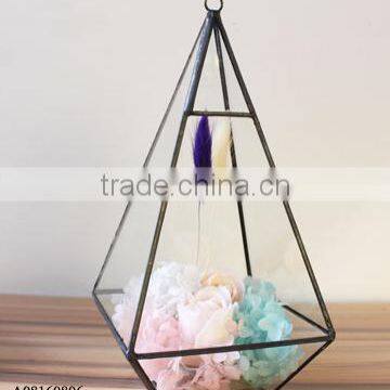 versatile clear glass hanging terrarium for plant