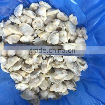 High Quality Hot Sales Frozen Short Necked Clam Meat
