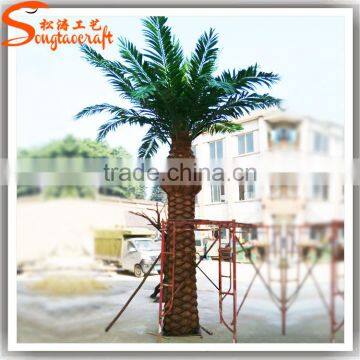 Songtao Suplier Artificial Date Palm Tree Customized Fibeerglass Date Palm Tree Fiberglass Artificial Palm Trees photo-3