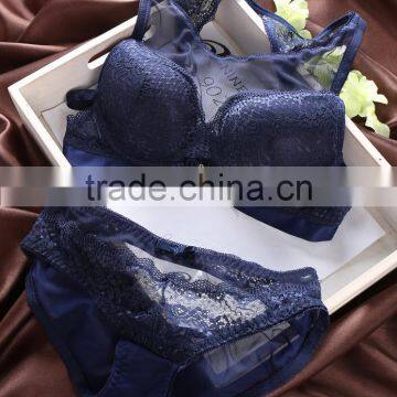 Fancy Design Ladies Underwear Sexy Bra and Panty Sets