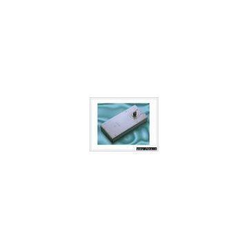 Floor Hinge
