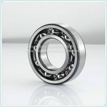 Big Bearing 12981u Cylinderical Roller Bearing NF6/406.6/C9