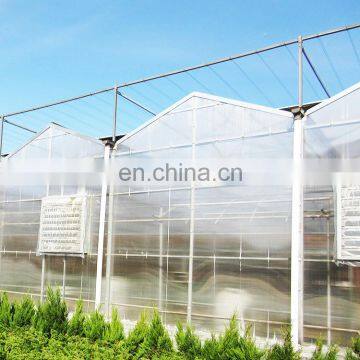 Low Price Complete Polycarbonate Greenhouse Garden Greenhouse With Hydroponic Strawberry Growing System