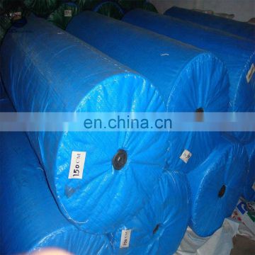 China plastic canvas tarp rolls