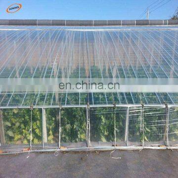 clear polyethylene plastic greenhouse film for sale philippines