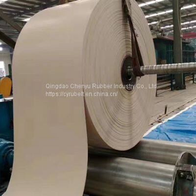 Food Grade White Conveyor Belt