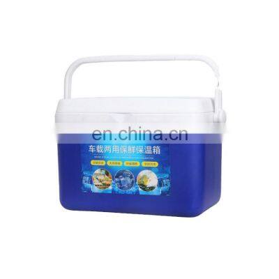 Quick Delivery Mini Cooler Box 4L Factory Cheap Custom Logo Cooler Plastic  Handle Carry Cooler