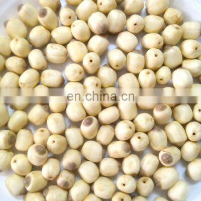 Organic Vietnam White Lotus Seeds From Vietnam photo-2