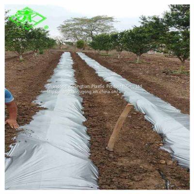 Black/Silver Greenhouse Plastic Mulch Film for Vegetables