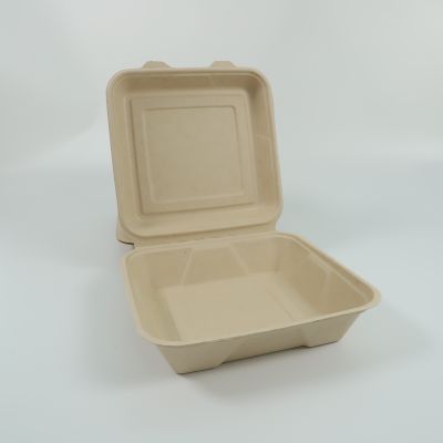 Disposable lunch box Salad box Burger box