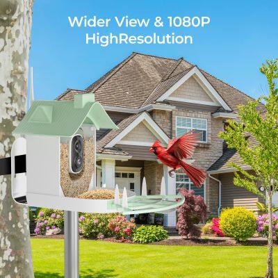 Ringsee Solar-powered Bird Feeder Smart Wifi Outdoor Bird Feeder 3MP Bird Feeder With Camera photo-5