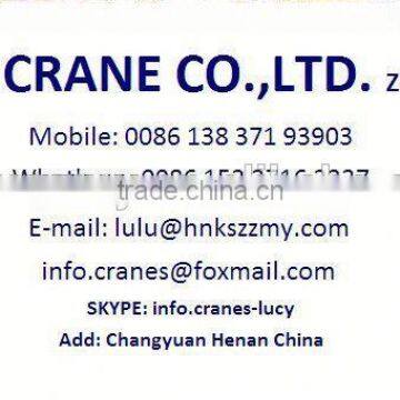 Explosion Proof Overhead Crane for Coal Mining 15t photo-2