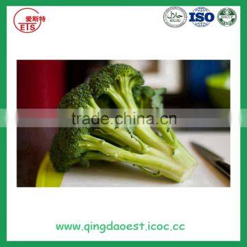 Bulk Packing Fresh Broccoli photo-4