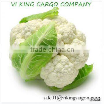 CAULIFLOWER HIGHT QUALITY, GOO PRICE FROM VIETNAM