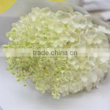 Reasonable Price Crazy Selling Decorative Supplies White Hydrangea photo-3