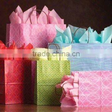 Paper Biodegradable kraft bag --BB 107