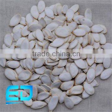 china snow white pumkin seed