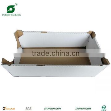 CARDBOARD FRUIT AND VEGETABLE BOX (FP600018)