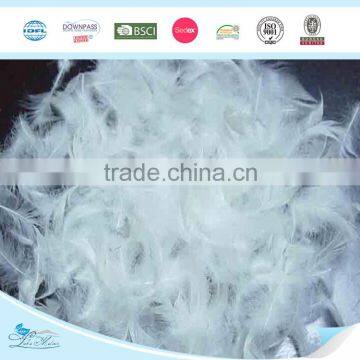Washed White Duck Feather