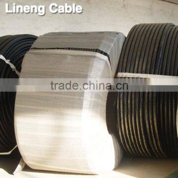 Lineng YJLV 2*10 Low Voltage 2 Core Aluminum Electrical Power Cable