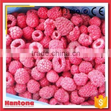 Bulk Iqf Raspberry Price