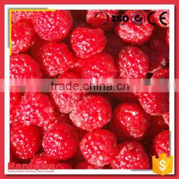 Hot Sale Frozen Sweet Raspberry From China