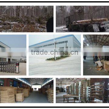 Poplar Birch Wooden Bed Slats E0 E1Grade Wooden Bed Slats FSC CARB Certification photo-6