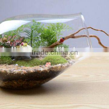 Glass Bottle for Micro Landscape, Glass Vase photo-2