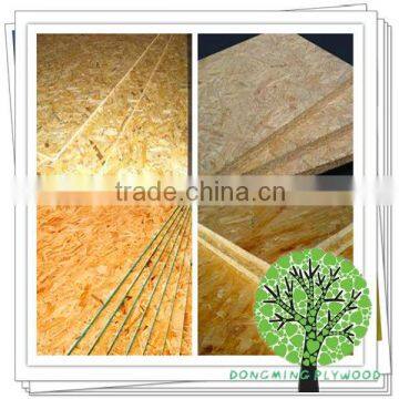 Hot Sell OSB for Cabinet