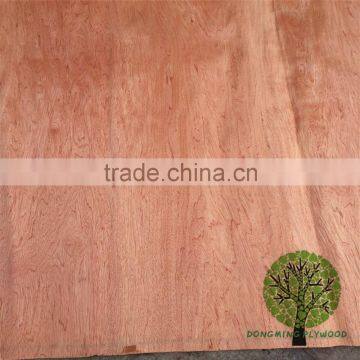 wood veneer BINTANGOR sheets wholesale