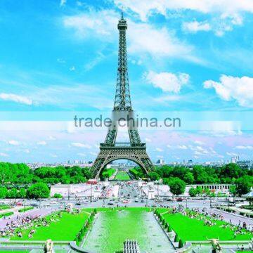 classic city views Paris Tower design wallpaper murals for room wall