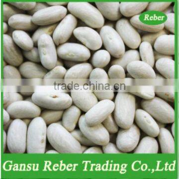 White Kidney Beans Spanish Type