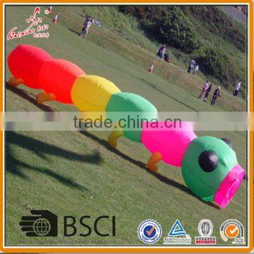 Caterpillar kite, inflatble kite, large show kite from weifang kite factory.                        
                                                Quality Choice