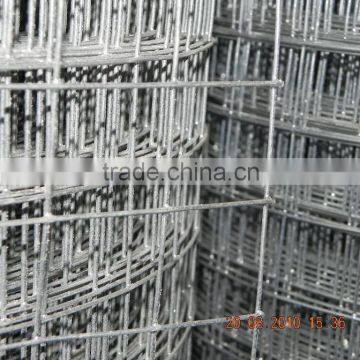 Best Price Welded Iron Wire Mesh 50x50