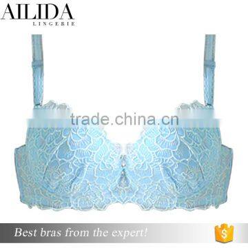 Ladies Women's Lace Sexy Push Up Large Bra Indian Sexy Bra Push Up Bra photo-6