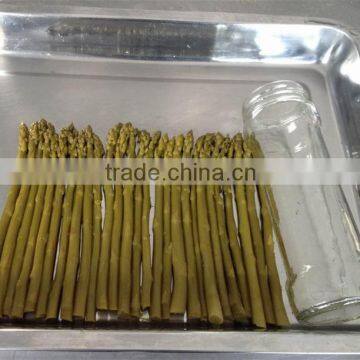 factory supply best quaity canned fresh green asparagus