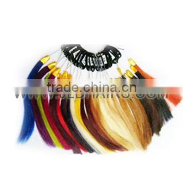 Human Hair Color Plate