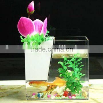 tabletop aquariums PMMA