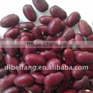 Dark Red Kidney Beans 2011 crop, Yunnan origin, Hps)