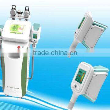 Vertical Cryolipolysis Fat Freezing Cryolipolysis Machine Weight Loss Beauty Spa/ Clinic For Sale Reduce Cellulite photo-2