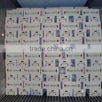 chinese chestnut 10kg carton Middle East