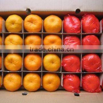 Chinese Fresh Citrus Orange Cheap Selling photo-2
