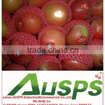 Chinese qinguan apple
