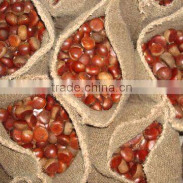 2015 New Organic Raw Chestnuts for Sale photo-4