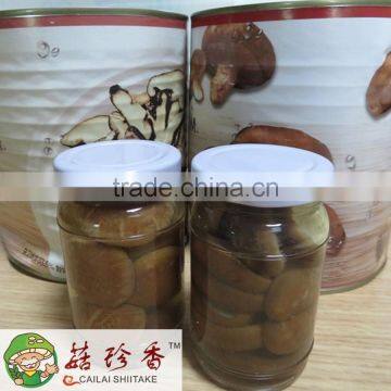 2016 hot sale shiitake mushroom quartes ,chinese canned shiitake